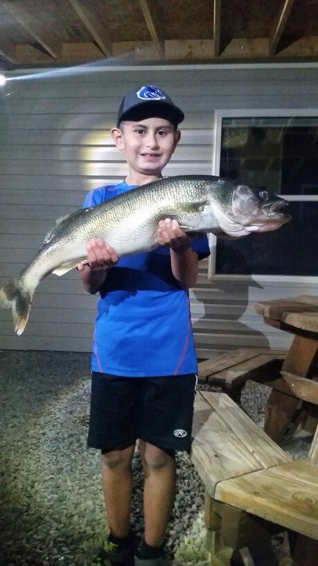 Big fish